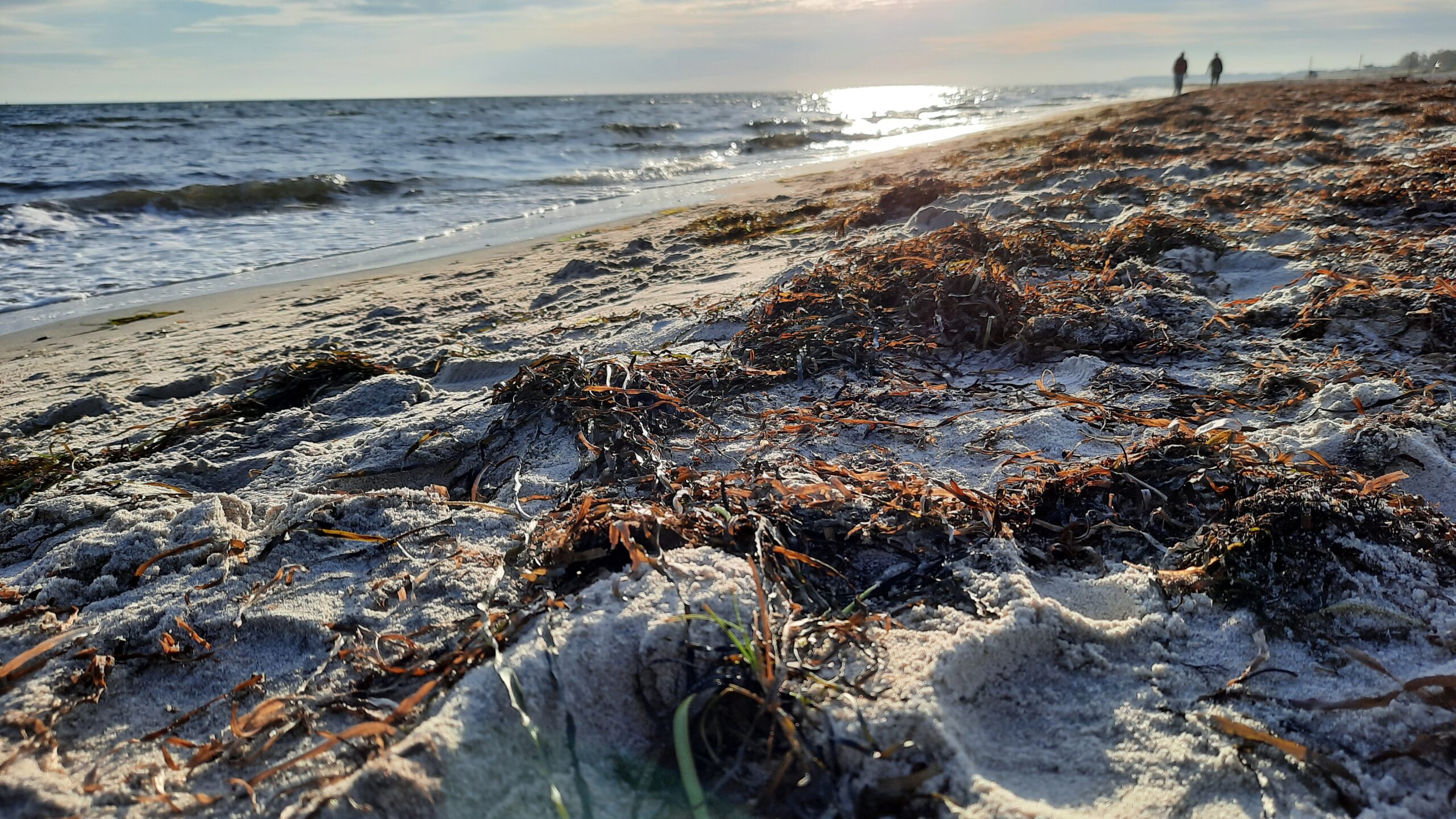 Klosterseestrand an der Ostsee – Entspannung an der Lübecker Bucht